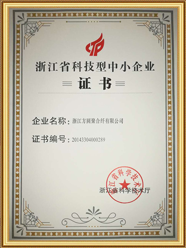 Vetenskaps- och teknikbaserade små och medelstora företag i Zhejiang-provinsen